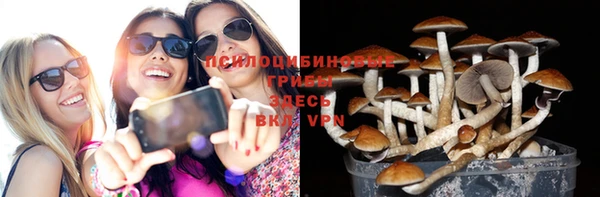 марки nbome Бородино