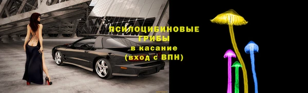 молекула духа Бронницы