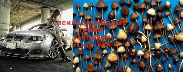дурь Бугульма