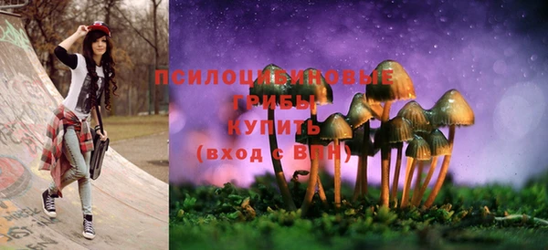 молекула духа Бронницы