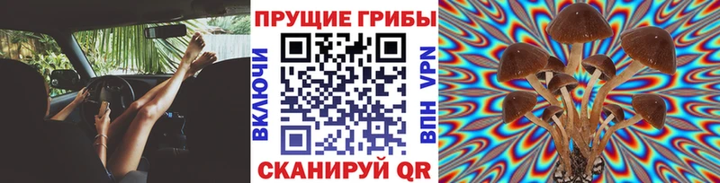 blacksprut онион Можайск Галлюциногенные грибы мухоморы где можно купить наркотик